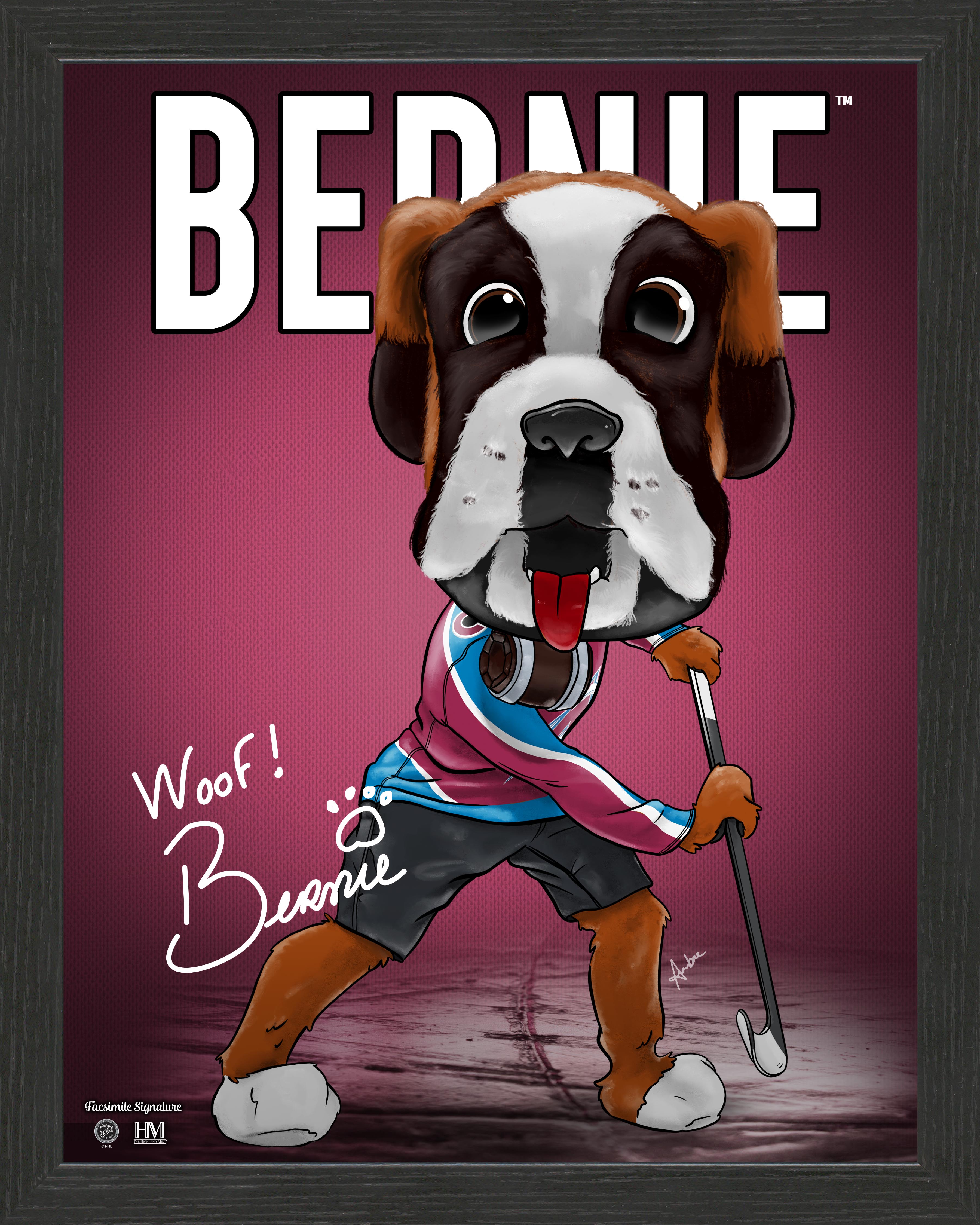 Colorado Avalanche Bernie Framed Dynamo - NHL Hockey Fan Decor, Sports Memorabilia for Man Cave, Office & Game Room Wall Art