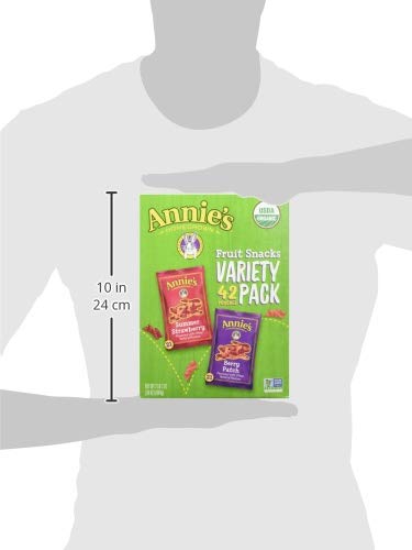 Annie's Homegrown Organic Fruit Snacks Variety Pack - 42 Count (0.8 Oz Each, 34 Oz Total) | Healthy Kids Snacks for Lunch Boxes, School, Travel & On-the-Go