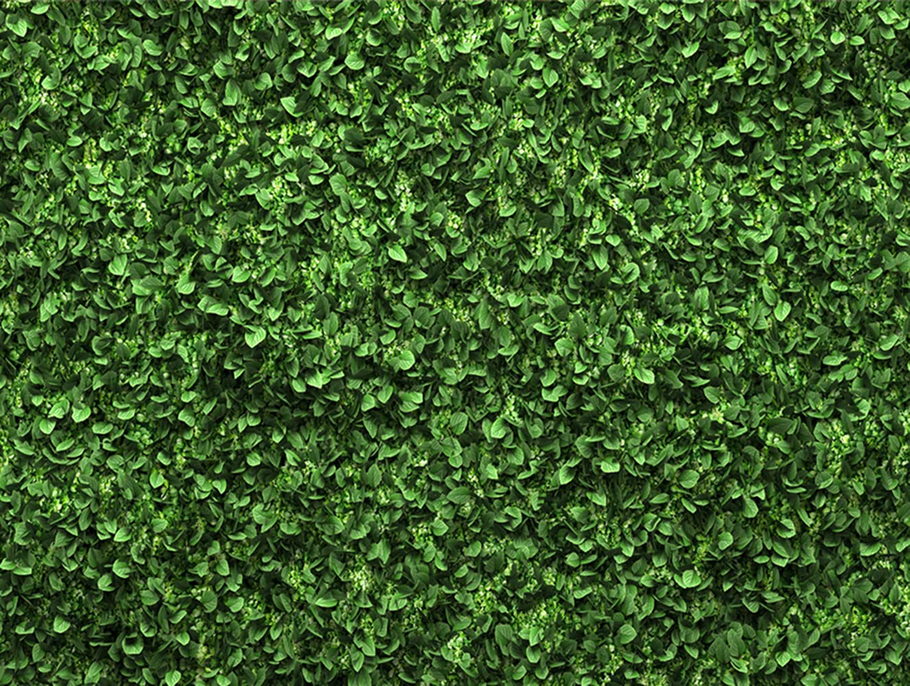 Green Leaves Backdrop - Jungle Theme Greenery Leaf Wall Background for Baby Shower, Wedding, Bridal Shower Party Decor | Photo Props & Cake Table Decoration | Perfect for Tropical Events and Nature-Inspired Celebrations