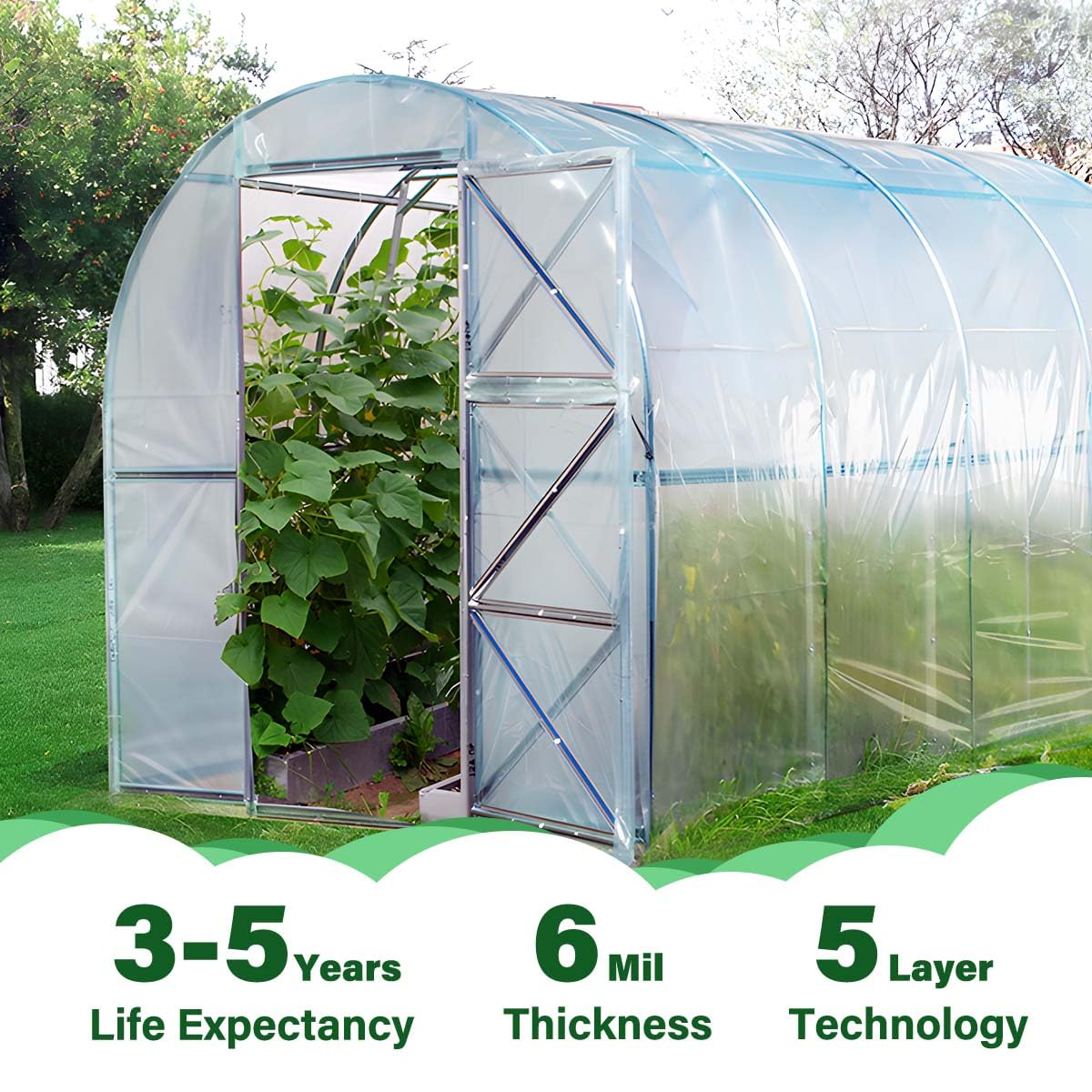 6 Mil Clear Greenhouse Plastic Sheeting 32 x 40FT - Heavy Duty UV Resistant Polyethylene Film for Gardening & Farming - High Light Transmission, Weatherproof Cover for Greenhouses, Plant Tunnels & Hoop Houses