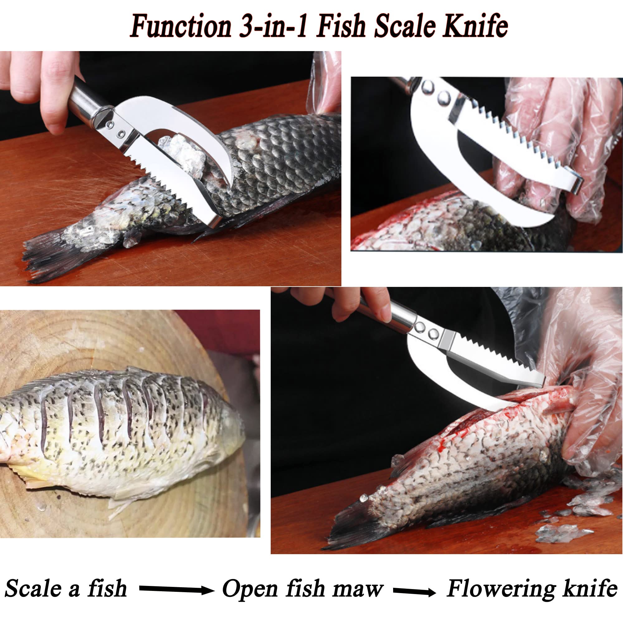 Premium Stainless Steel Fish Maw Knife - Multi-Functional Fish Scale Remover Tool for Kitchen, Home & Outdoor Fishing | Perfect for Cleaning Fish, Preparing Seafood & Cooking