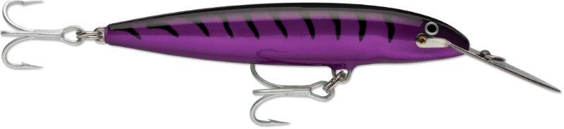 PURPLE MACKEREL