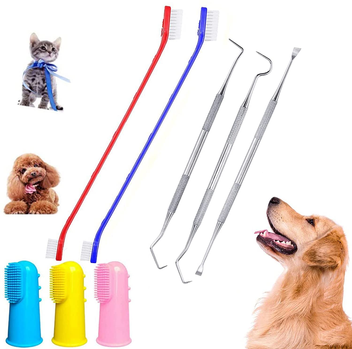 8 Pack Dog Teeth Cleaning Kit - Stainless Steel Plaque Remover, 3 Scrapers + 2 Toothbrushes + 3 Finger Brushes for Small & Large Dogs - Prevent Tartar & Bad Breath - Perfect for Home Dental Care Routine
