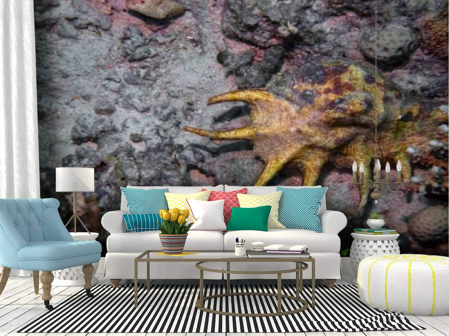 RECETHROWS Peel and Stick Wallpaper - Large Self-Adhesive Wall Mural with Spider Conch (Lambis Lambis) Design, Removable Vinyl Film Roll for Home Decor | Perfect for Living Room, Bedroom, Nursery & Office Walls