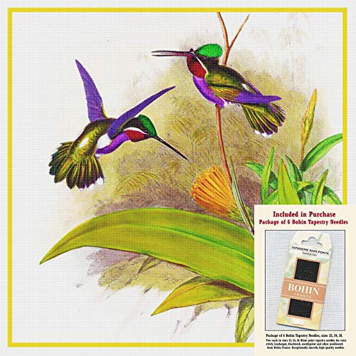 Naturalist Gould Hummingbird Detail Counted Cross Stitch Pattern with Needles