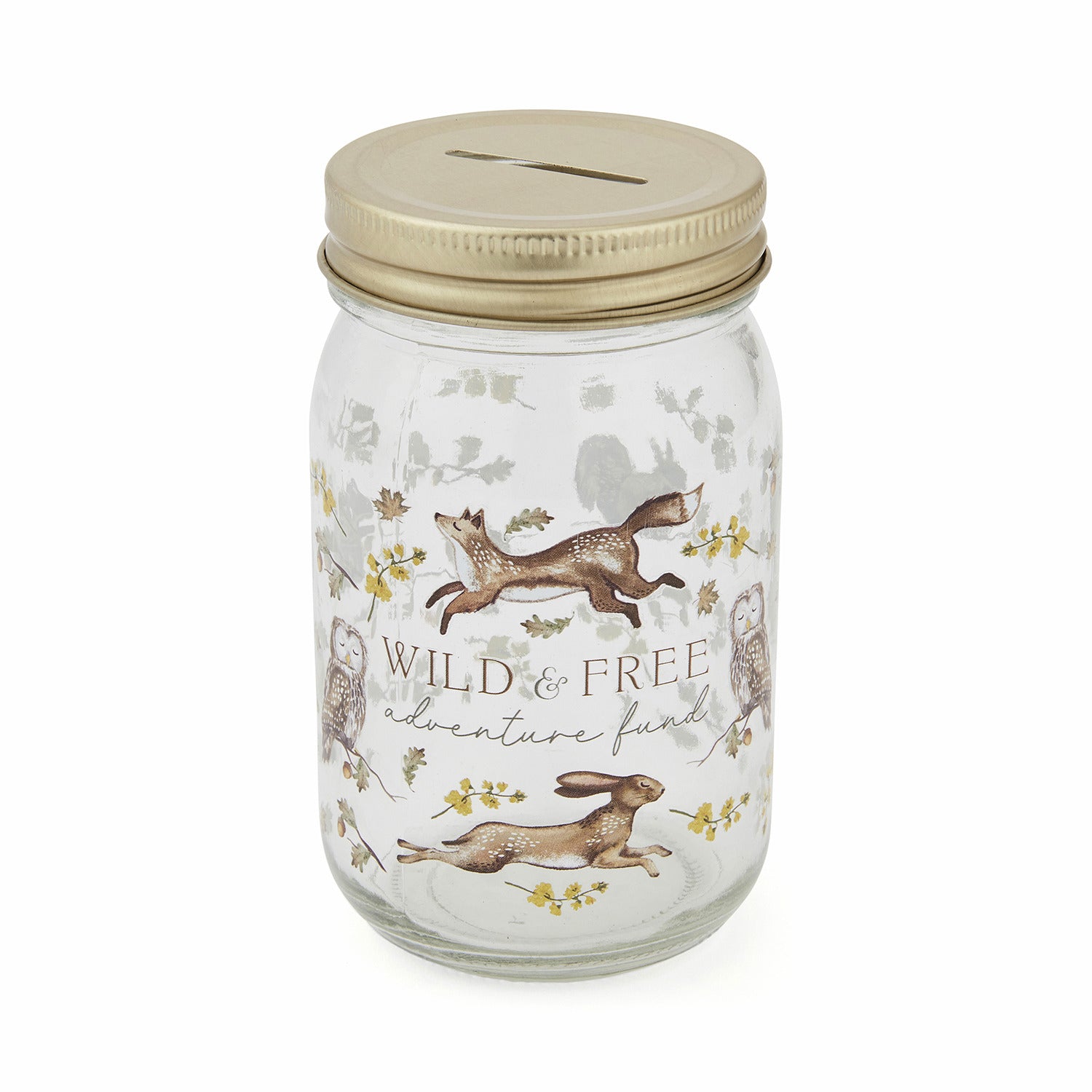 Forest Fable Glass Money Jar - Clear Savings Bank with Lid for Cash & Coin Storage - Perfect for Home Decor, Gift Giving & Financial Goal Tracking