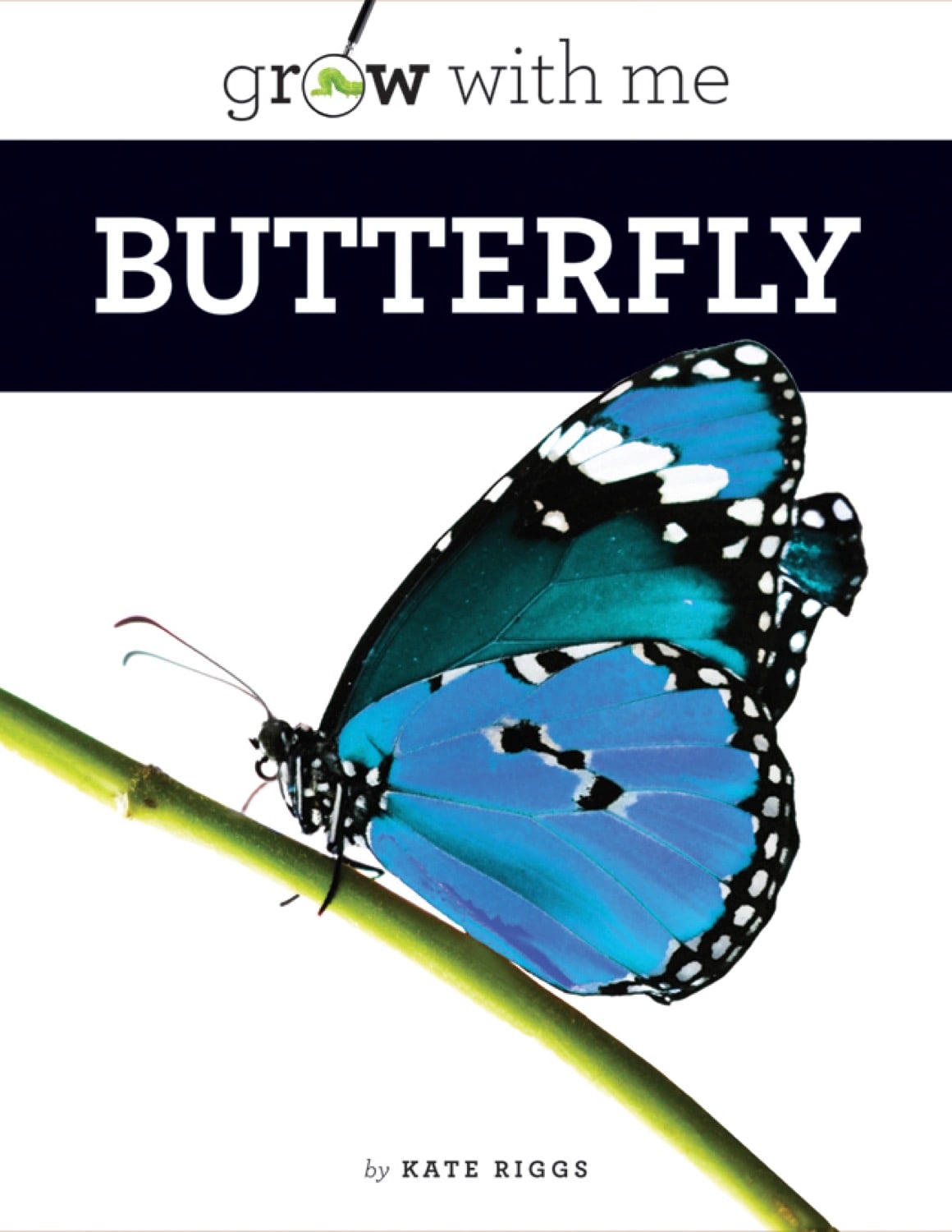 Butterfly 978 1 60818 215 2 - Premium Butterfly Book for Collectors & Nature Enthusiasts | Perfect for Home Decor, Gifts & Educational Use