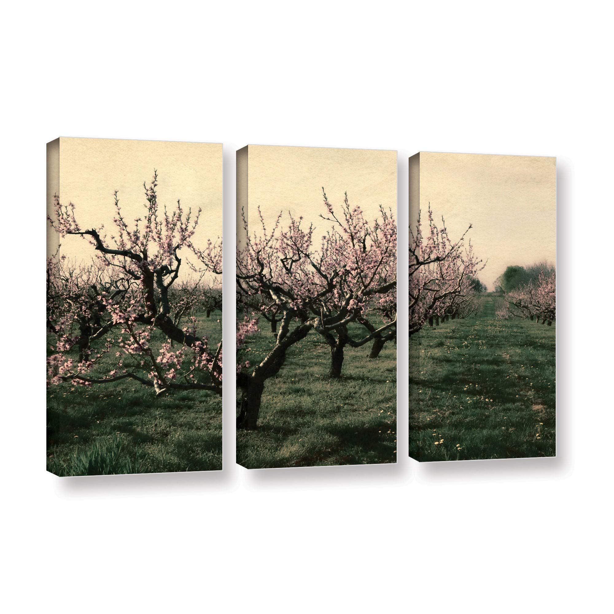 ArtWall Kevin Calkins 'Cheery Cherries' 3-Piece Canvas Wall Art Set - 24x36 Inches Gallery Wrapped Modern Home Decor for Living Room, Bedroom & Office