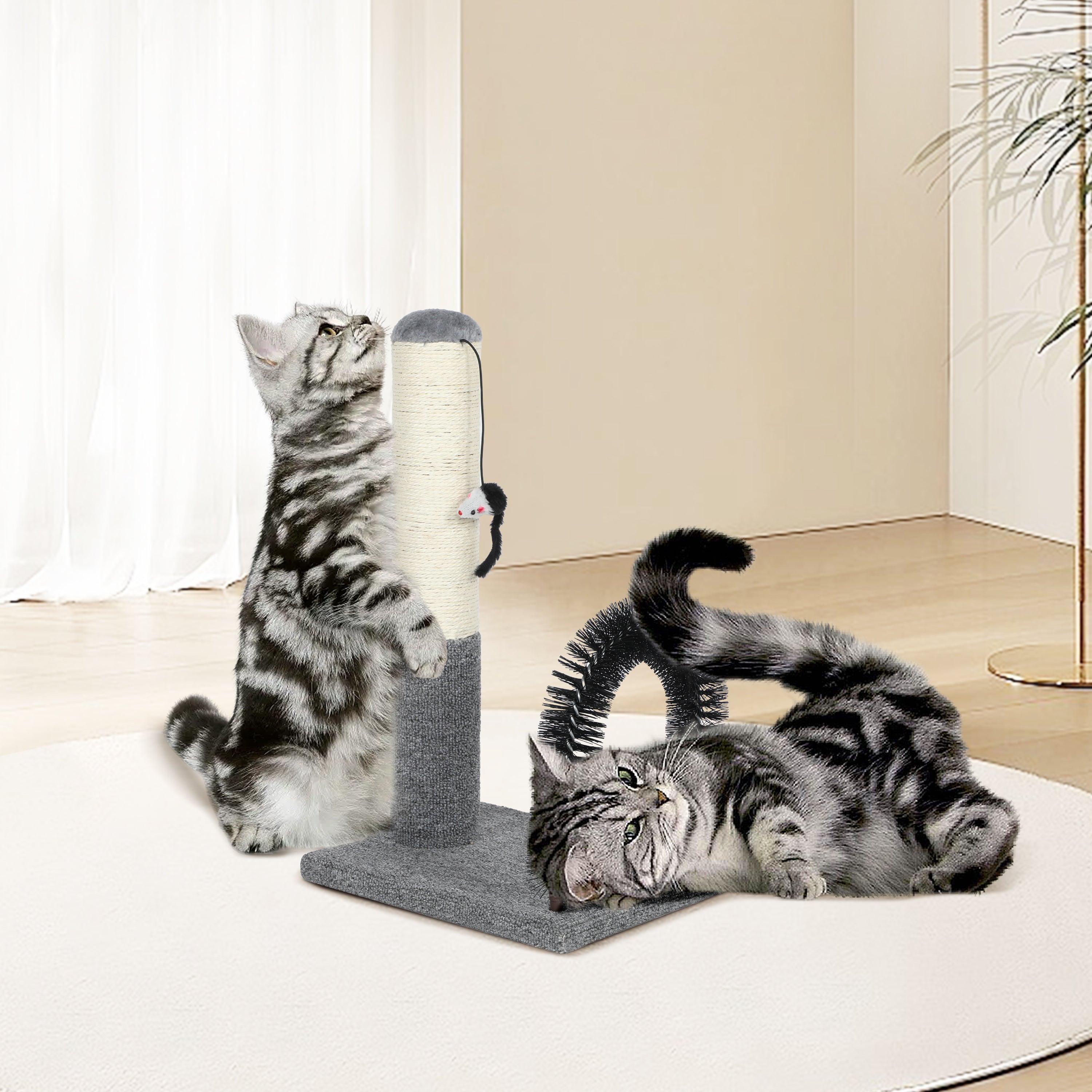 18 Inch Cat Scratching Post with Grooming Brush & Dangling Ball - Self Groomer Scratcher for Kittens & Adult Cats - Indoor Cat Furniture Protector - Perfect for Playtime, Grooming & Furniture Protection