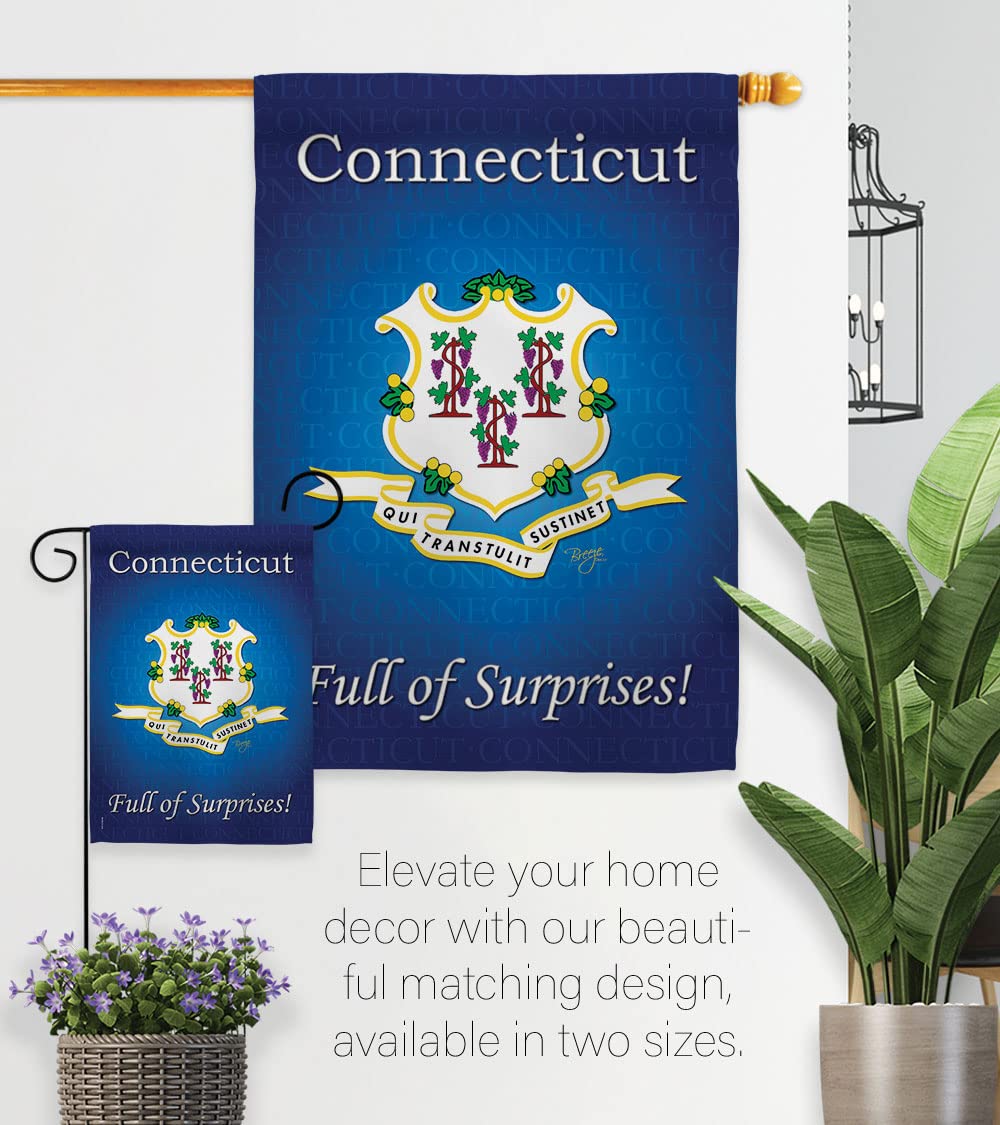 Connecticut Americana House Flag Set 28x40