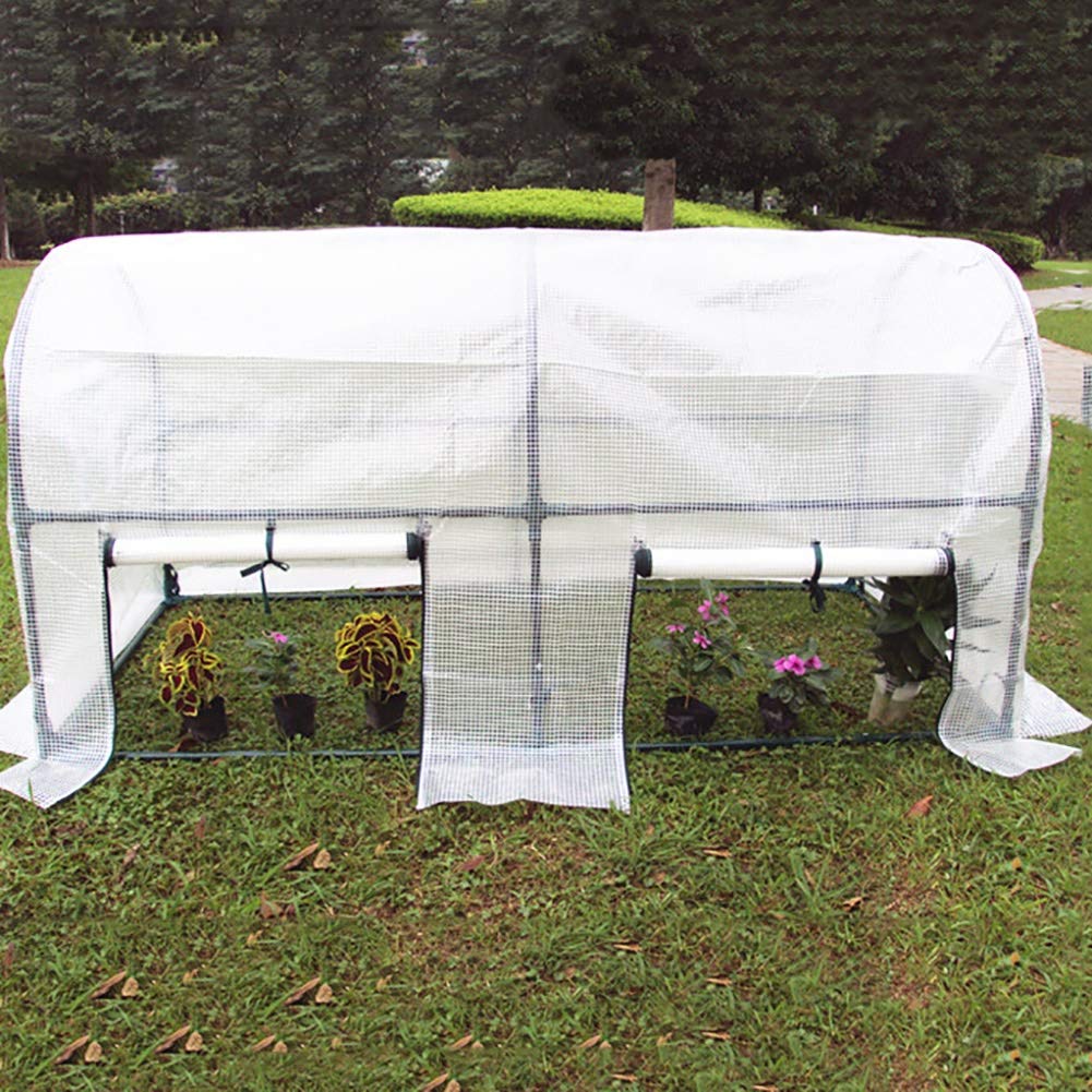 Sturdy Large Walk-In Greenhouse - Heavy Duty Full Steel Frame Outdoor Garden Greenhouse for Fruits, Vegetables, Flowers & Plants (100×100×115cm) - Perfect for Backyard Gardening, Patio Farming & Year-Round Plant Protection