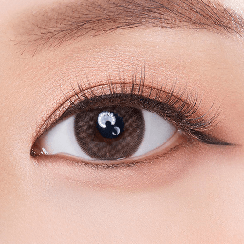 Olola Mellows 1 Day Muse Brown Colored Contact Lenses (10 Pack) - Perfect for Daily Wear, Cosplay & Special Occasions