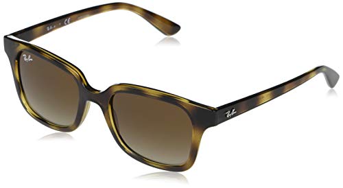 Havana/Brown Gradient Dark Brown