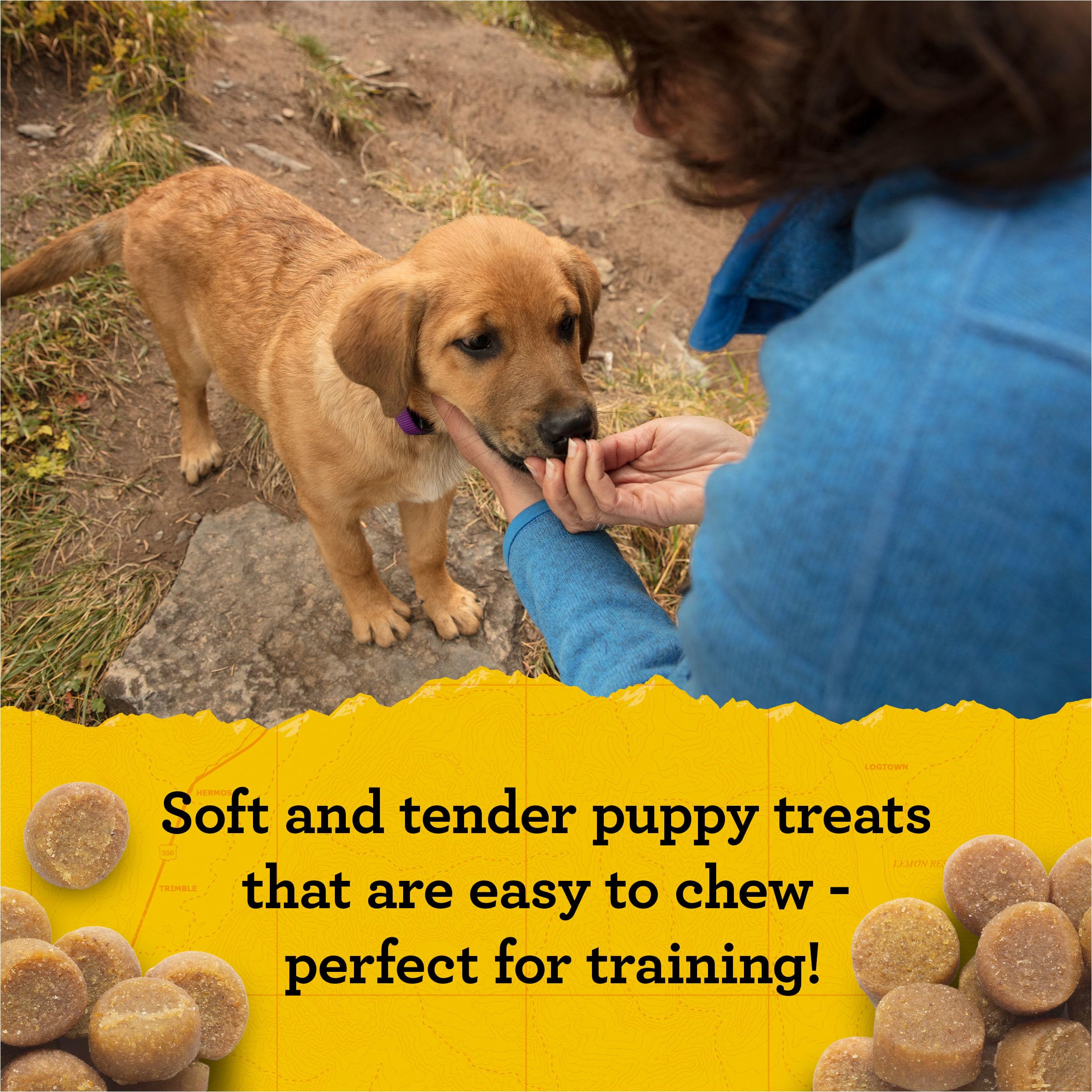 Zuke's Puppy Naturals Soft Training Treats - Natural Dog Treats with Pork Recipe, 5 oz Bag - Perfect for Puppy Training, Rewards & Positive Reinforcement