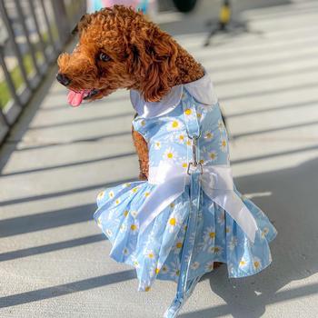 Blue Daisy Harness Dress with Matching Leash - Stylish Pet Fashion for Dogs, Perfect for Walks, Photos & Special Occasions