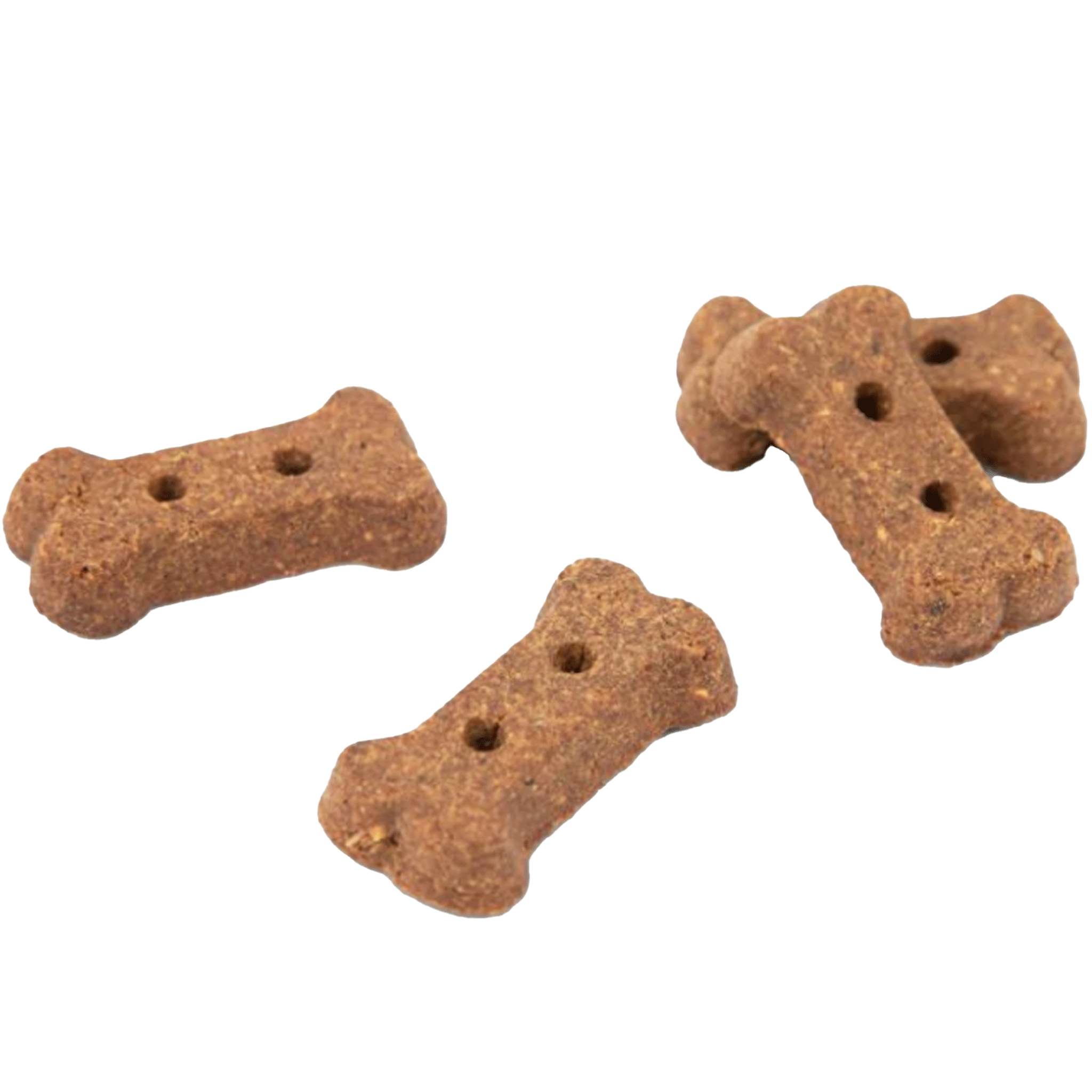 Jiminy's Peanut Butter & Banana Cricket Protein Dog Treats - High Protein, All-Natural Dog Snacks for Training, Rewards & Digestive Health