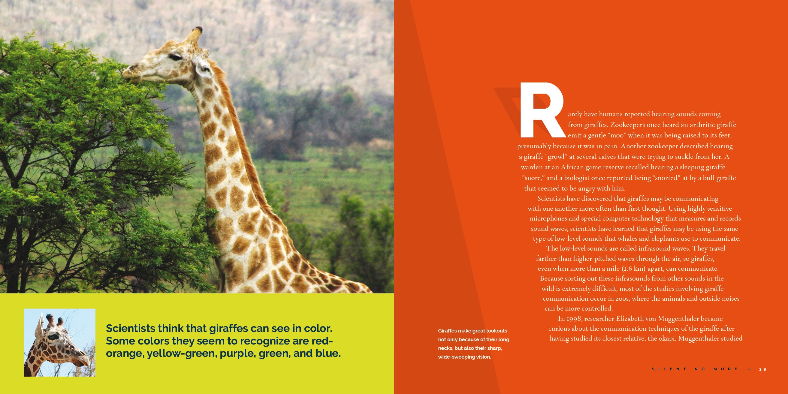 Giraffes Book - 9781640265998 - Wildlife Education & Animal Facts for Kids, Perfect for School Projects & Nature Lovers