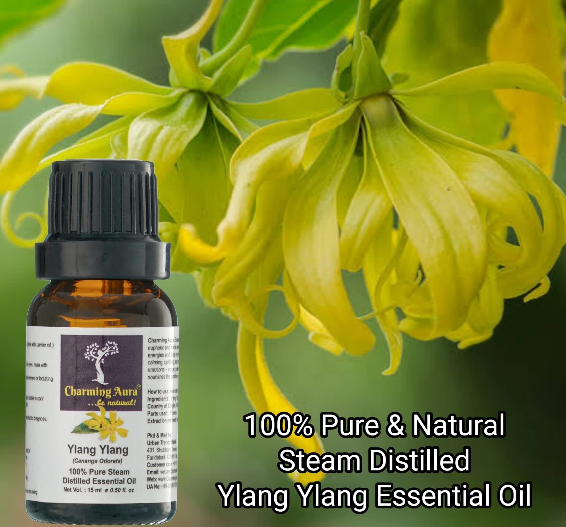 Ylang Ylang Essential Oil 100% Pure & Natural - Therapeutic Grade for Skin Care, Hair Growth, Immunity Boost, Face & Body - Aromatherapy Diffuser, Massage, Relaxation (15ml)
