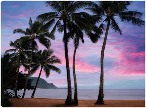 Pink Clouds