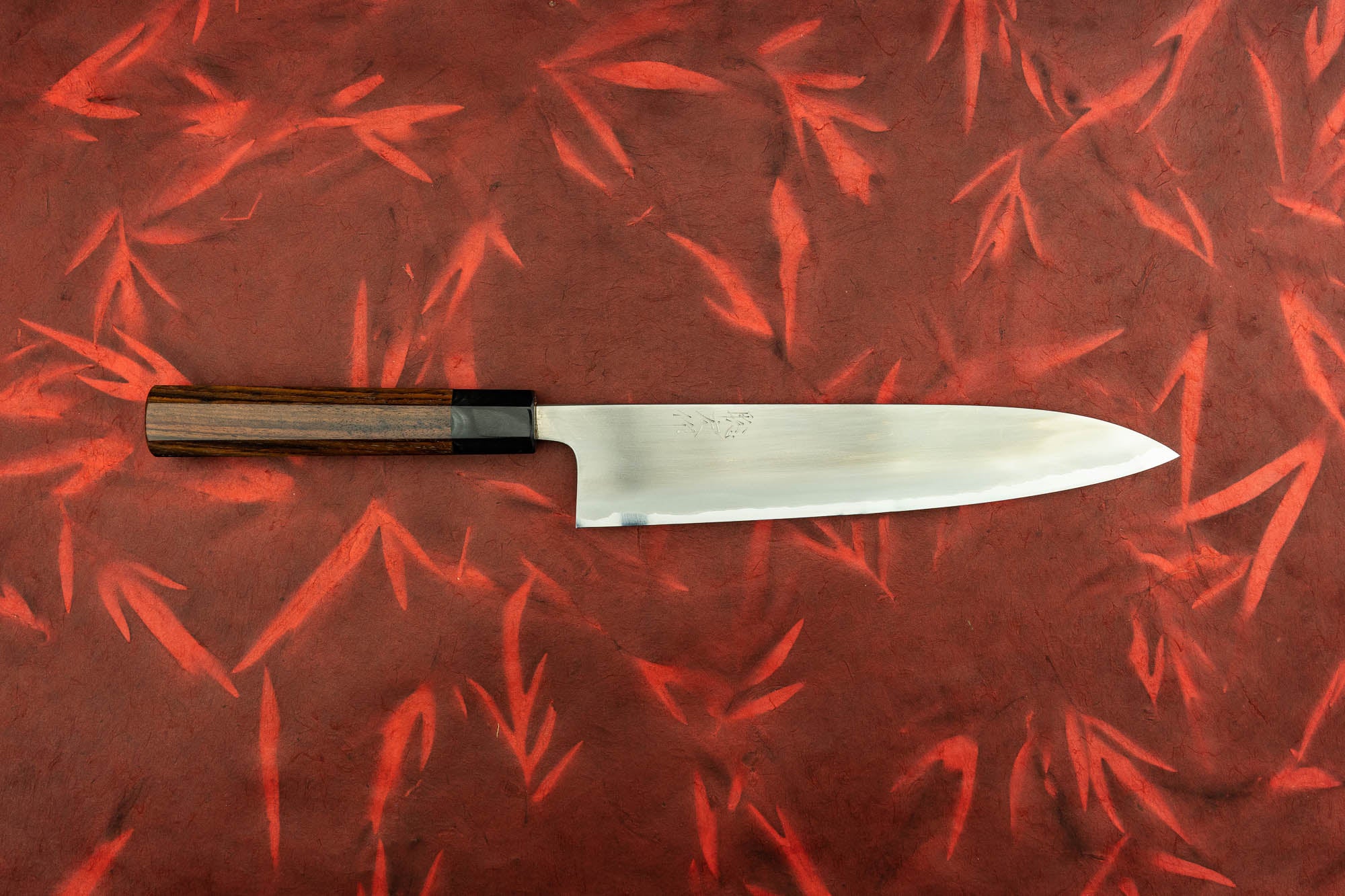 Premium Toshihiro Wakui Shirogami Stainless Migaki Gyuto 240mm Japanese Chef Knife - High-Carbon Steel Blade for Professional Cooking & Sushi Preparation