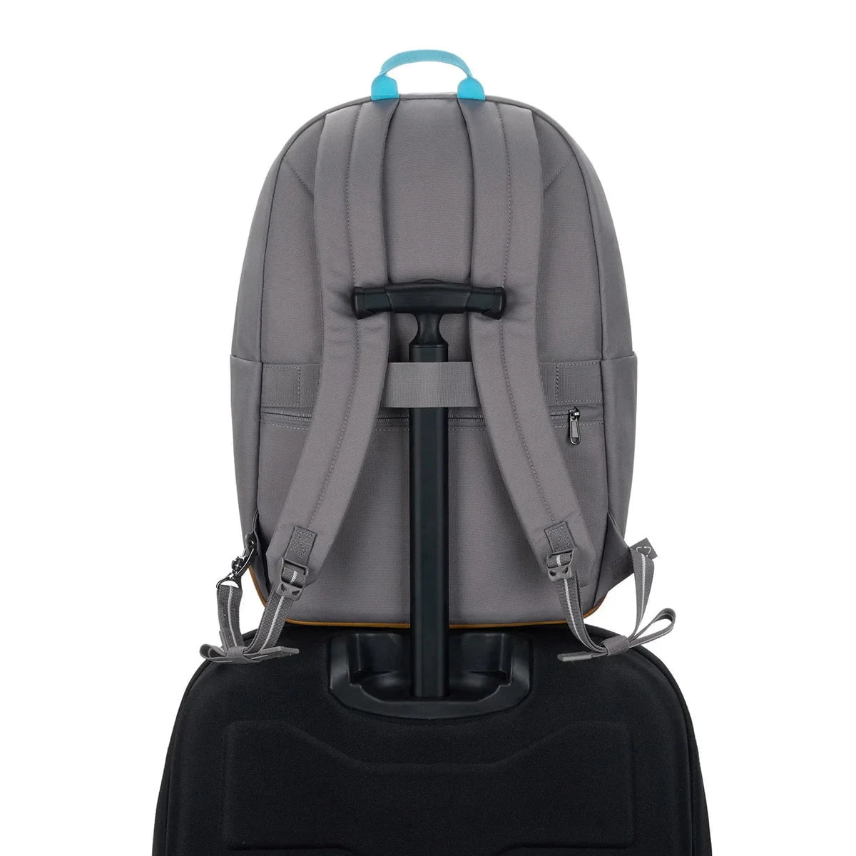 Pacsafe Go 25L Anti-Theft Travel Backpack - Secure & Lightweight Daypack for Commuting, Hiking & Urban Exploration