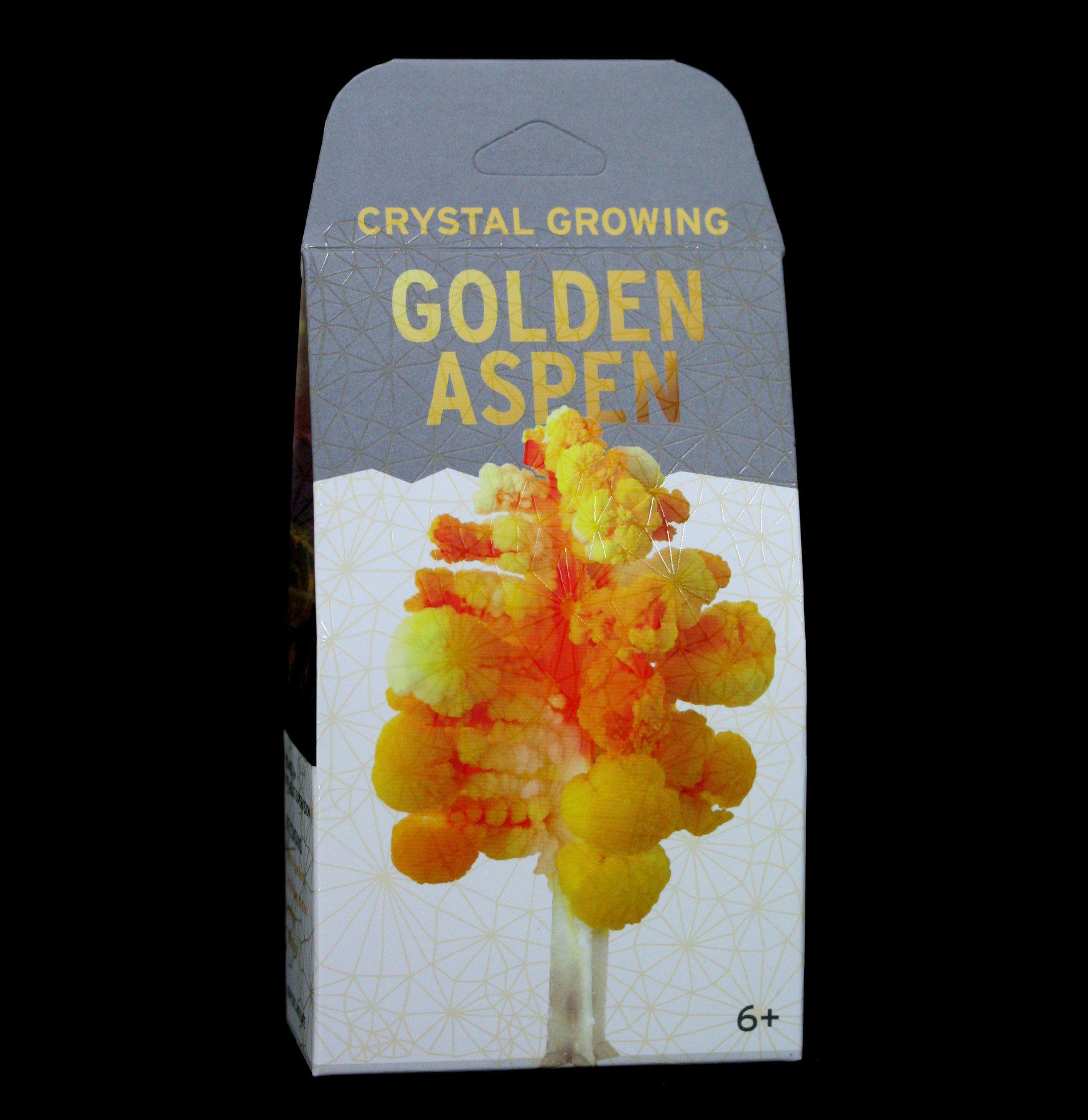 Golden Aspen Crystal Growing Kit for Kids - DIY Science Experiment & STEM Educational Toy for Home & Classroom Learning