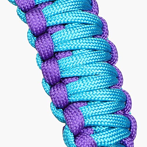 Purple Blue Wide