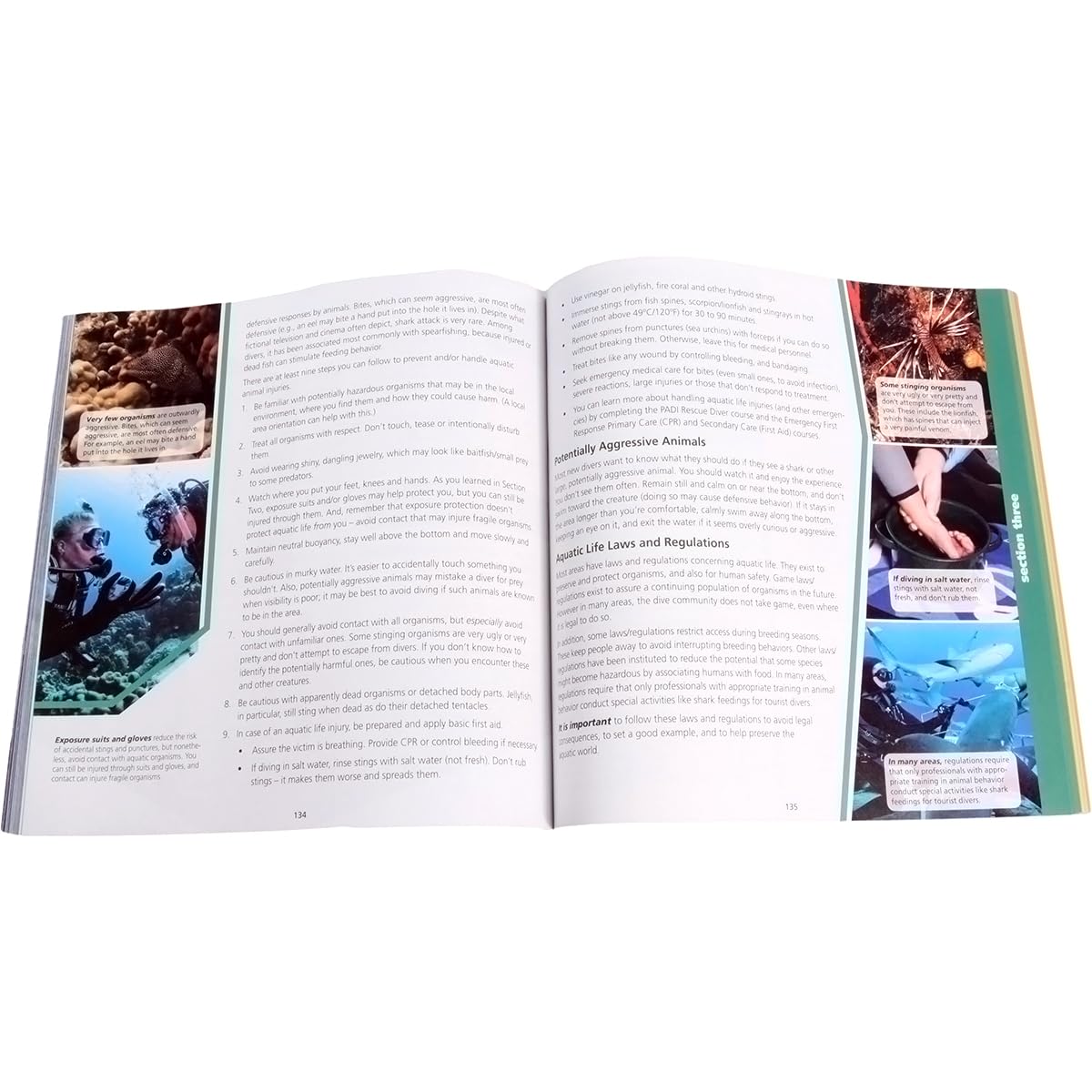 Open Water Scuba Diving Computer Crew Pack - Professional Dive Training Gear for Beginners & Advanced Divers - Perfect for Underwater Exploration & Certification Courses