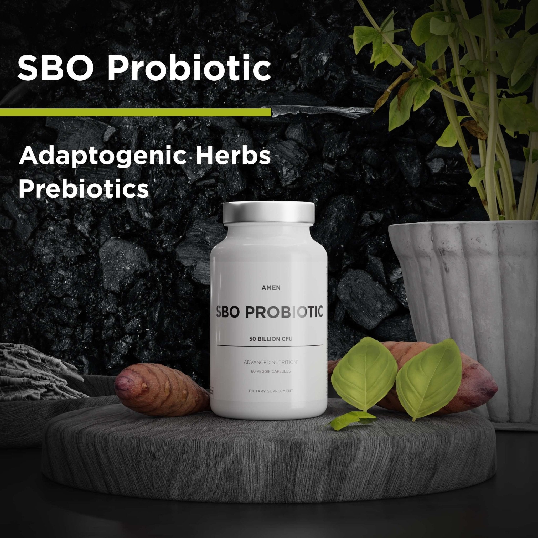 Codeage Amen SBO Probiotic 50 Billion CFUs - Soil-Based Organisms for Gut Health & Immune Support - Supports Digestion & Nutrient Absorption - Ideal for Travel, Stress & Antibiotic Recovery