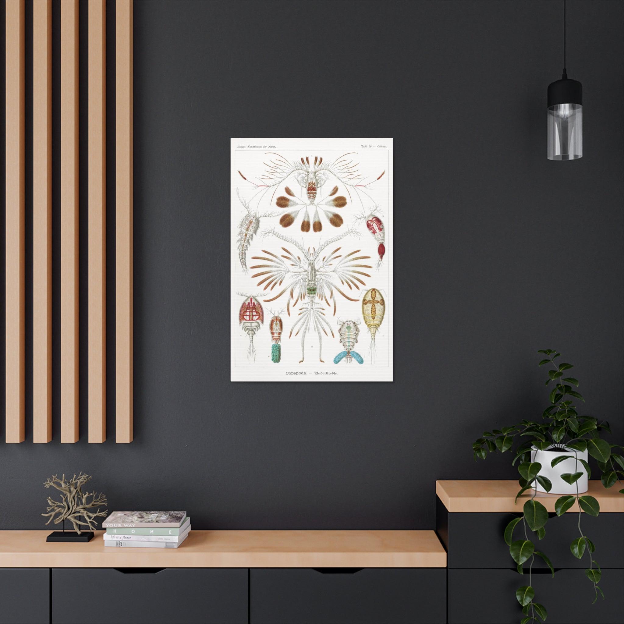 Copepoda Ruderkrebse by Ernst Haeckel - Premium Canvas Art Print for Home & Office Decor | Marine Biology Wall Art | Scientific Illustration Gift