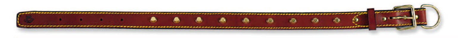 Premium Italian Leather Padded Dog Collar - Comfortable & Stylish for Small to Medium Dogs - Perfect for Daily Walks, Training & Outdoor Adventures