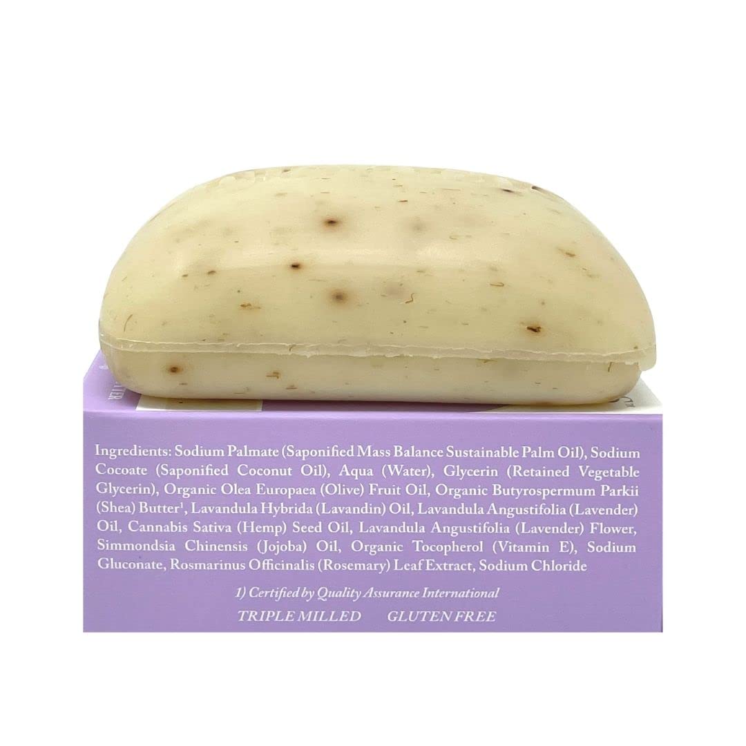 Dr. Woods Organic Lavender Exfoliating Bar Soap with Shea Butter – 5.25 oz (6-Pack) – Gentle Skin Cleansing for Dry & Sensitive Skin, Spa & Bath Relaxation