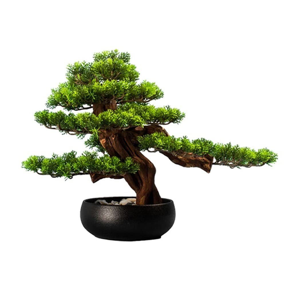 TOMYEUS Artificial Bonsai Tree - Fake Plants for Home & Office Decor, Realistic Potted Simulation Plant with Ceramic Base & Pebbles - Perfect for Living Room, Desk, Tabletop Greenery & Interior Decoration