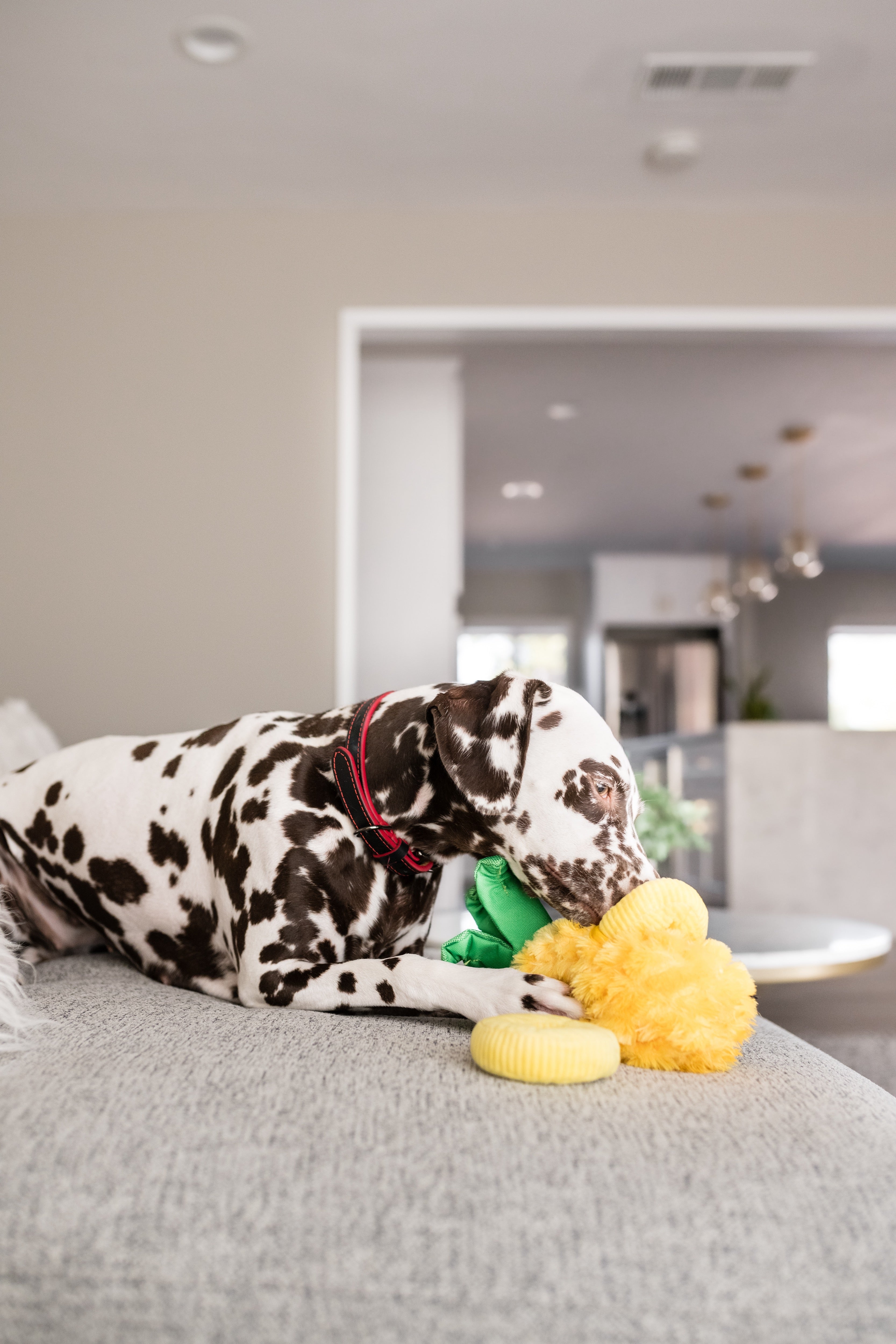 Tropical Paradise™ Dog Plush Toy - La Piña Chew Toy for Dogs | Soft & Durable Pet P.L.A.Y. Puppy Toy | Perfect for Playtime, Training & Cuddling