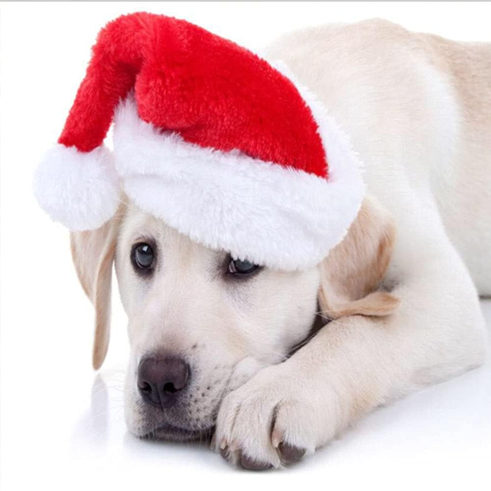 Festive Pet Santa Hats for Cats & Dogs - 2 Pack Red Christmas Costume Hats (5.5