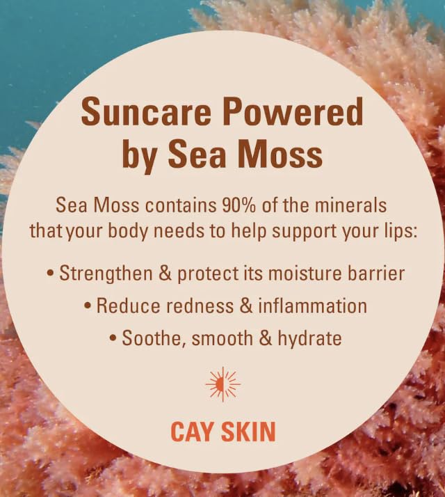CAY SKIN Isle Lip Balm SPF 30 Set - 3 Pack Hydrating & Sun Protection for Dry Lips - Perfect for Beach, Travel & Daily Use