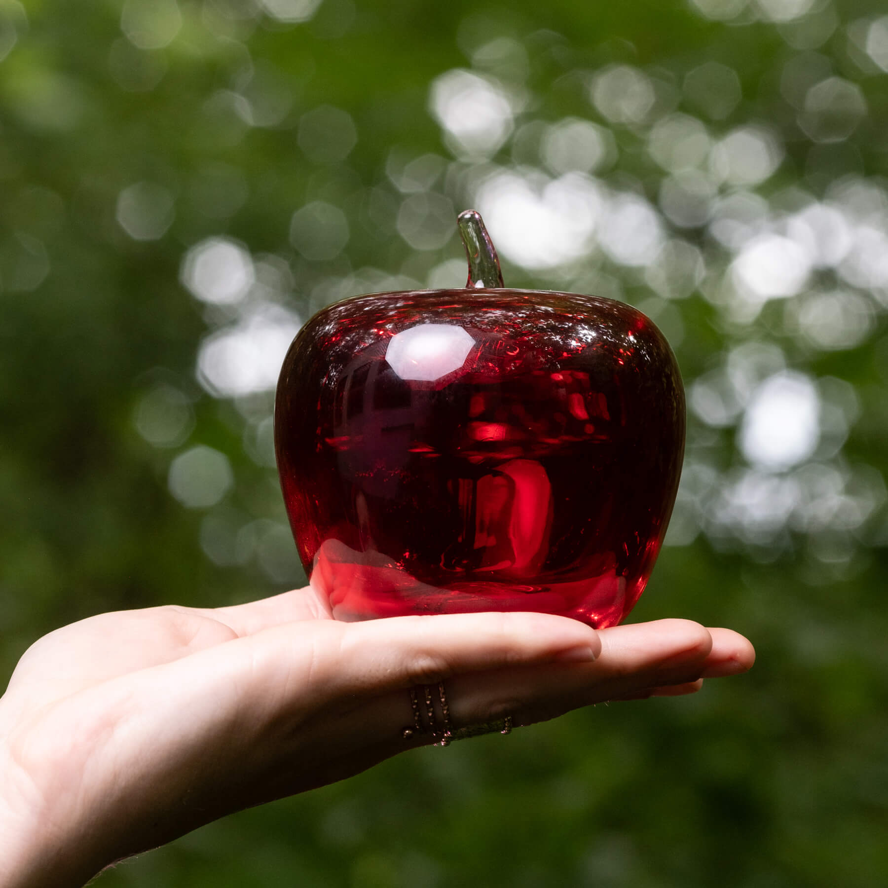 882 Apple Ruby - Premium Quality Fresh Apples for Healthy Snacking, Baking & Juicing | Perfect for Salads, Pies & Smoothies