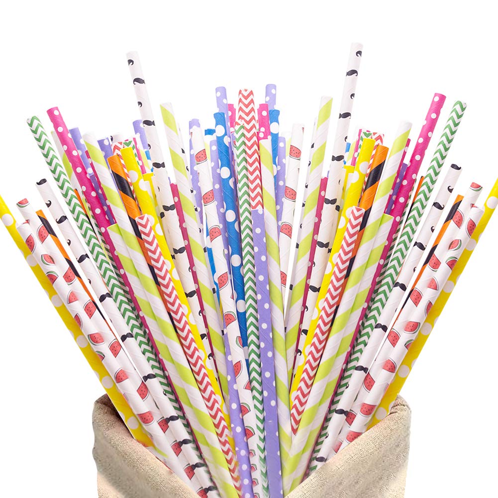 HAKACC Disposable Paper Straws - 100 Count Eco-Friendly Drinking Straws with 10 Fun Patterns for Parties, Birthdays, Weddings & Holidays | Perfect for DIY Decorations, Beverage Serving & Event Styling