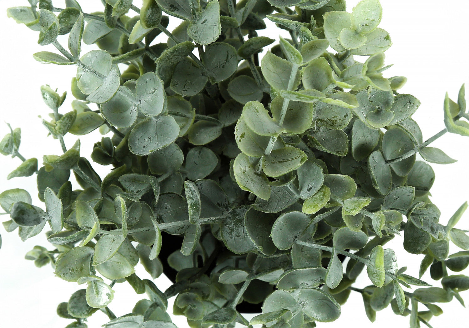 11 Eucalyptus Grass Plants with 5 Black Pots - Green Artificial Decor Set of 2 - Perfect for Home, Office, and Indoor Plant Decor