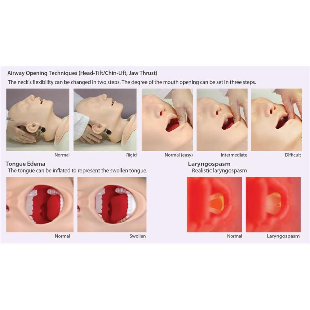 Difficult Airway Management Simulator - High-Fidelity Medical Training Model for Anesthesia & Emergency Practice - Perfect for Hospitals, Medical Schools & Residency Programs