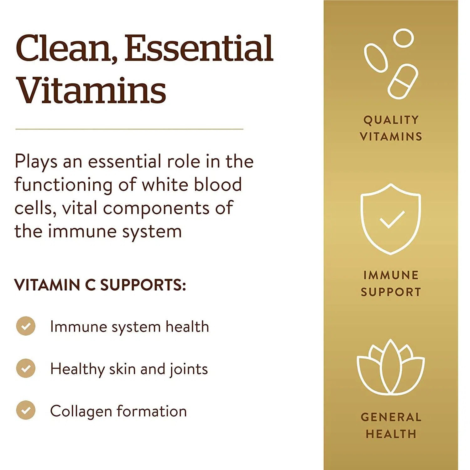Solgar Vitamin C 1000 mg Supplement for Immune Support & Antioxidant Protection - Boost Energy & Skin Health (120 Tablets)