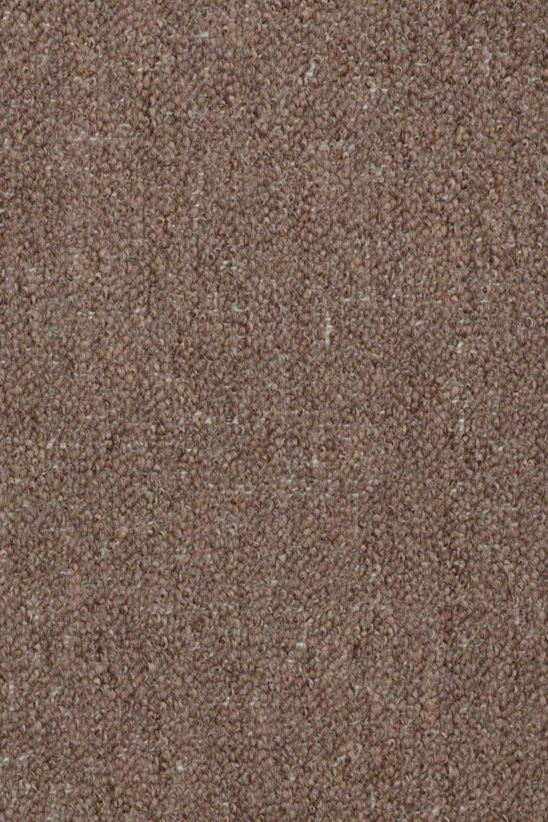 Large 6' x 8' Brown Indoor Outdoor Area Rugs - Perfect for Patio, Deck, Living Room & Bedroom Decor