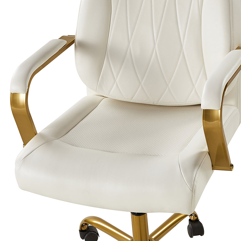 Ludwig Ergonomic Office Chair with Adjustable Lumbar Support - Comfortable Mesh Back Computer Desk Chair for Home & Office Workspaces