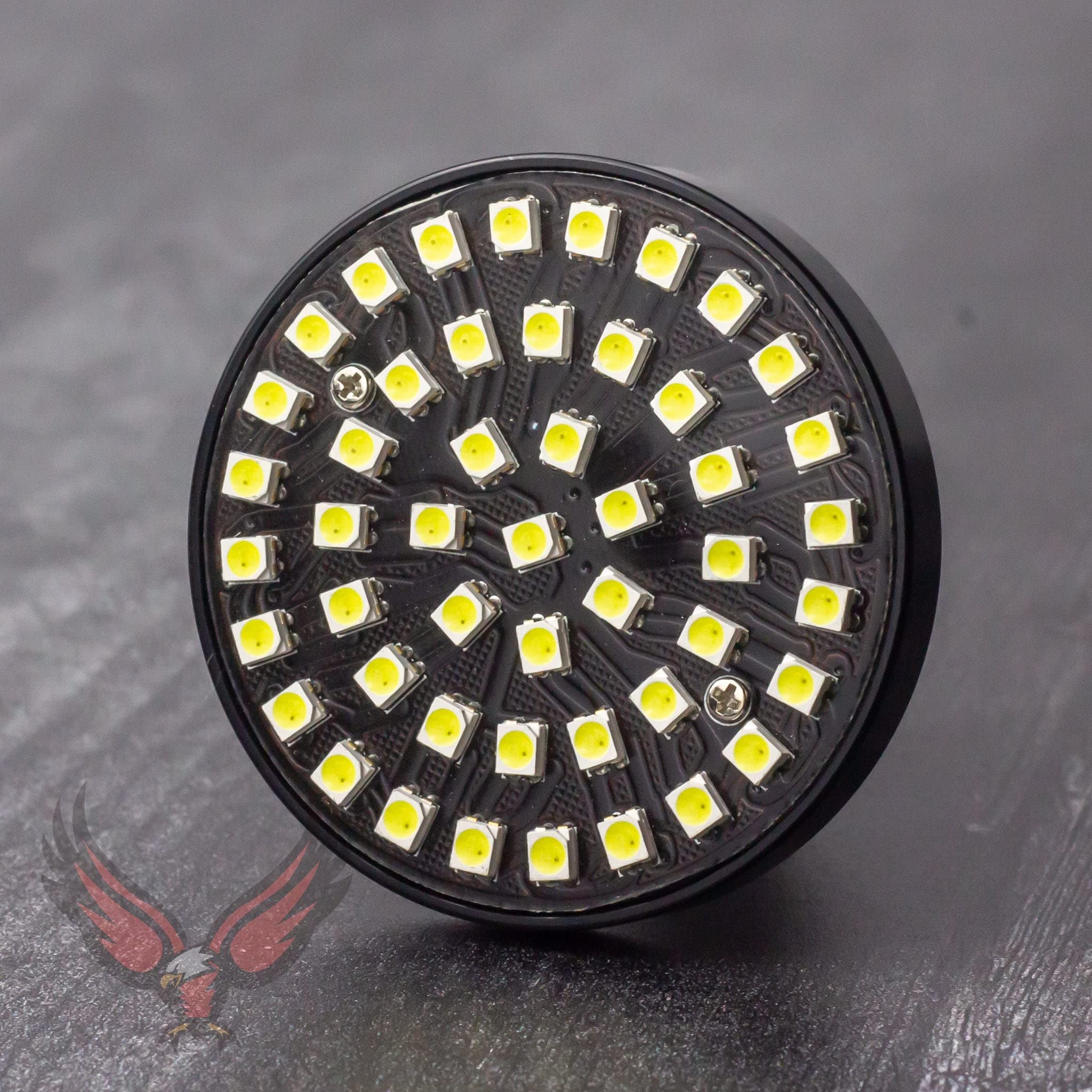 **2 Inch LED Turn Signals with White Running Lights for Harley Davidson Motorcycles - Eagle Lights SUNBURST - Perfect for Daytime Visibility & Night Riding Safety**