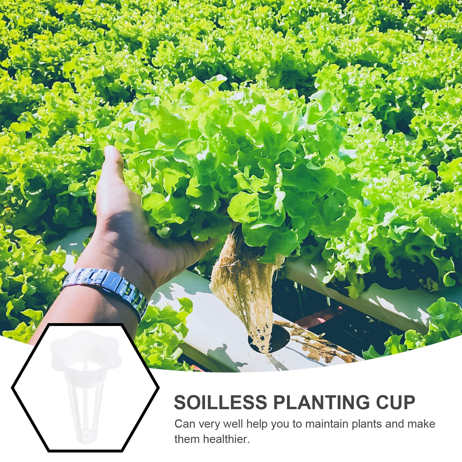 50pcs Hydroponic Plant Baskets - Plastic Soilless Planting Cups for Seed Germination & Plant Growth | Garden Accessories for Indoor/Outdoor Hydroponics, Herb Gardens & Vegetable Cultivation