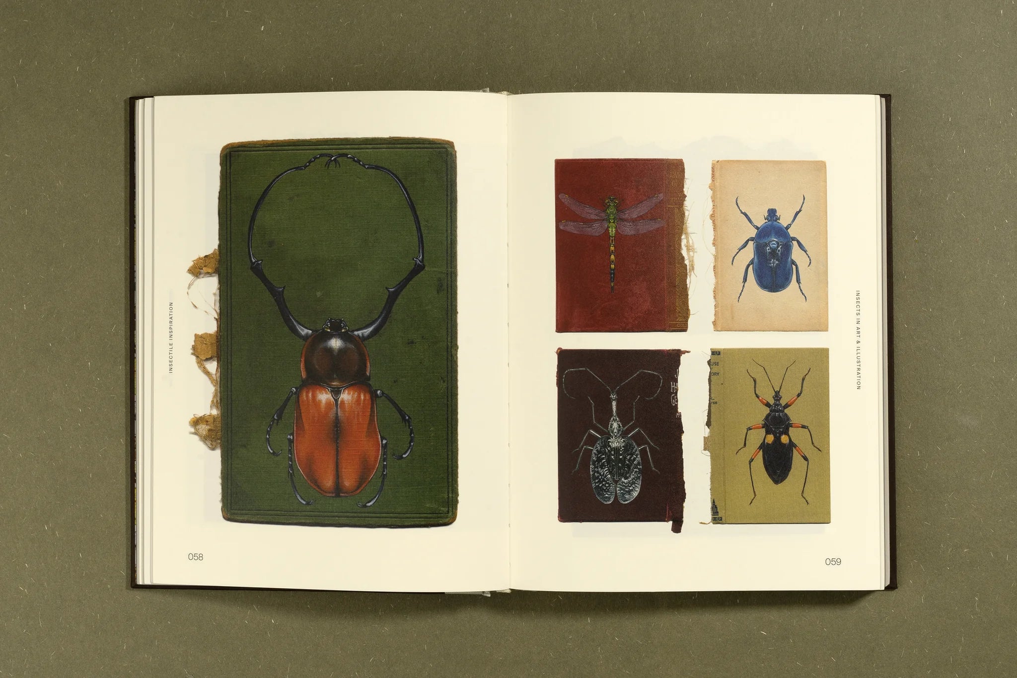 Insectile Inspiration: Insects in Art and Illustration - Unique Wall Decor for Nature Lovers & Home Office Aesthetics