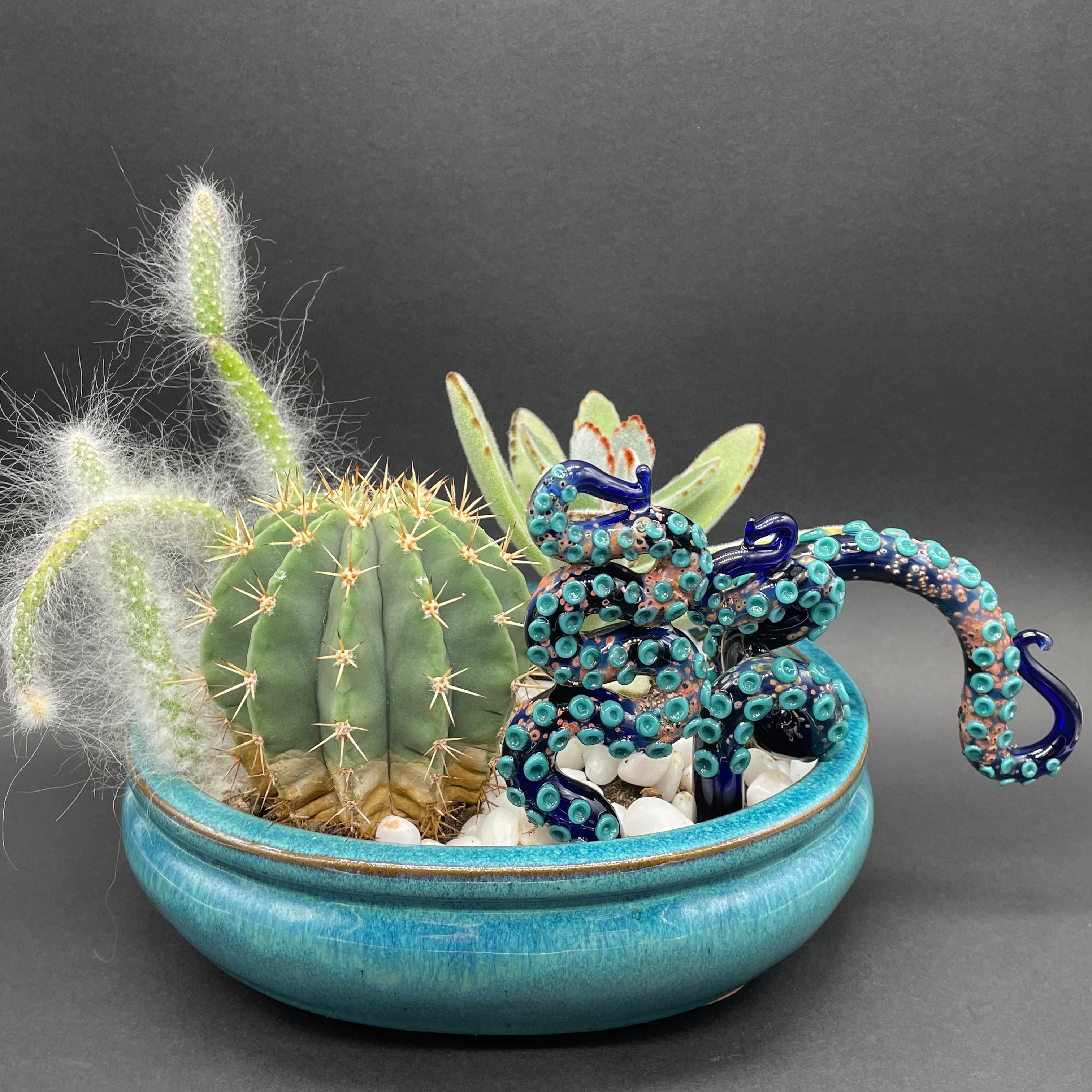 Unique Tentacle Plant Decor - Artificial Succulent Home & Office Decoration for Boho, Halloween & Gothic Themed Spaces