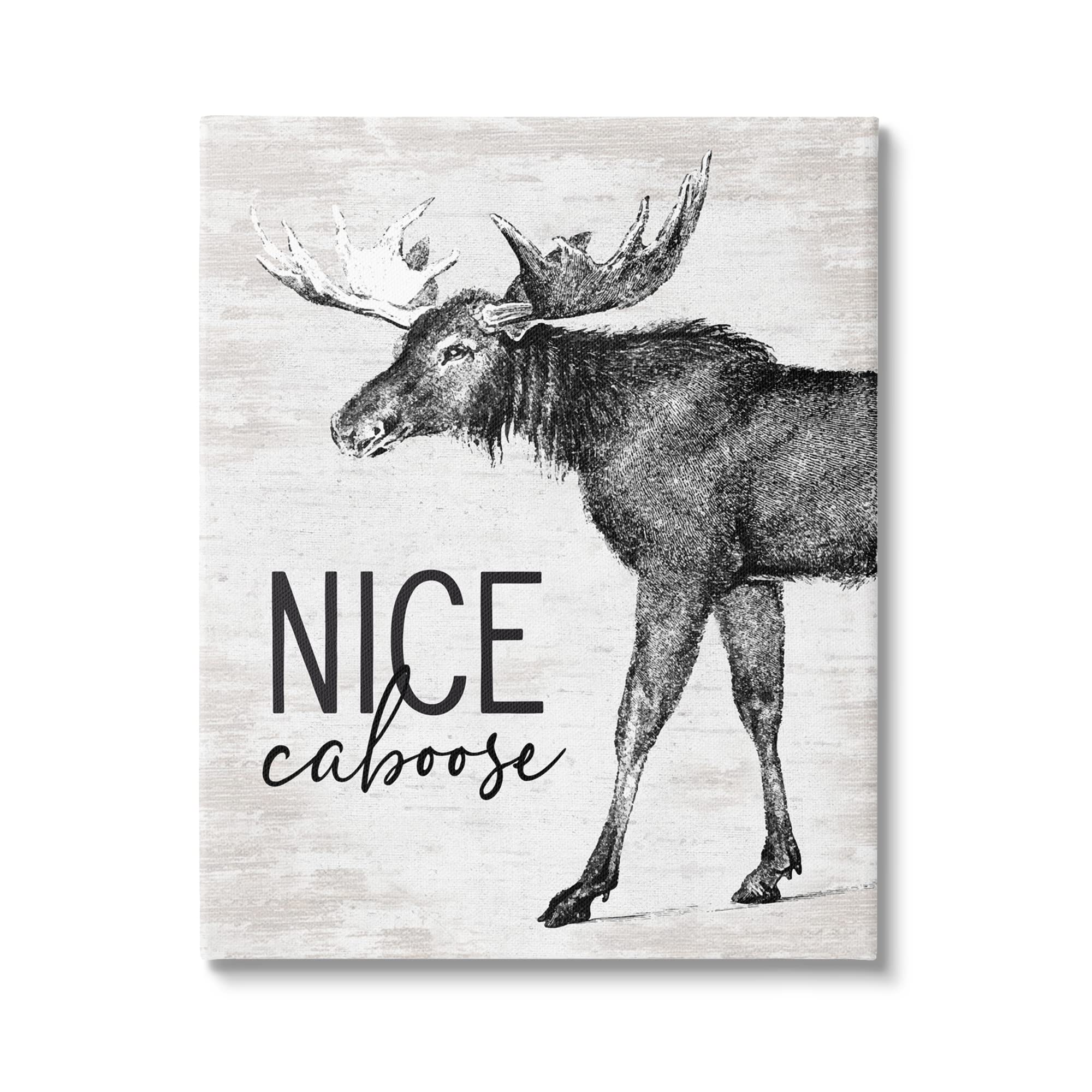 Stupell Industries Funny Moose Canvas Art - 'Nice Caboose' Lake House Bathroom Humor Decor - 16x20 Inch Gallery Wrapped Wall Art - Perfect for Cabin, Bathroom, or Lodge Decor