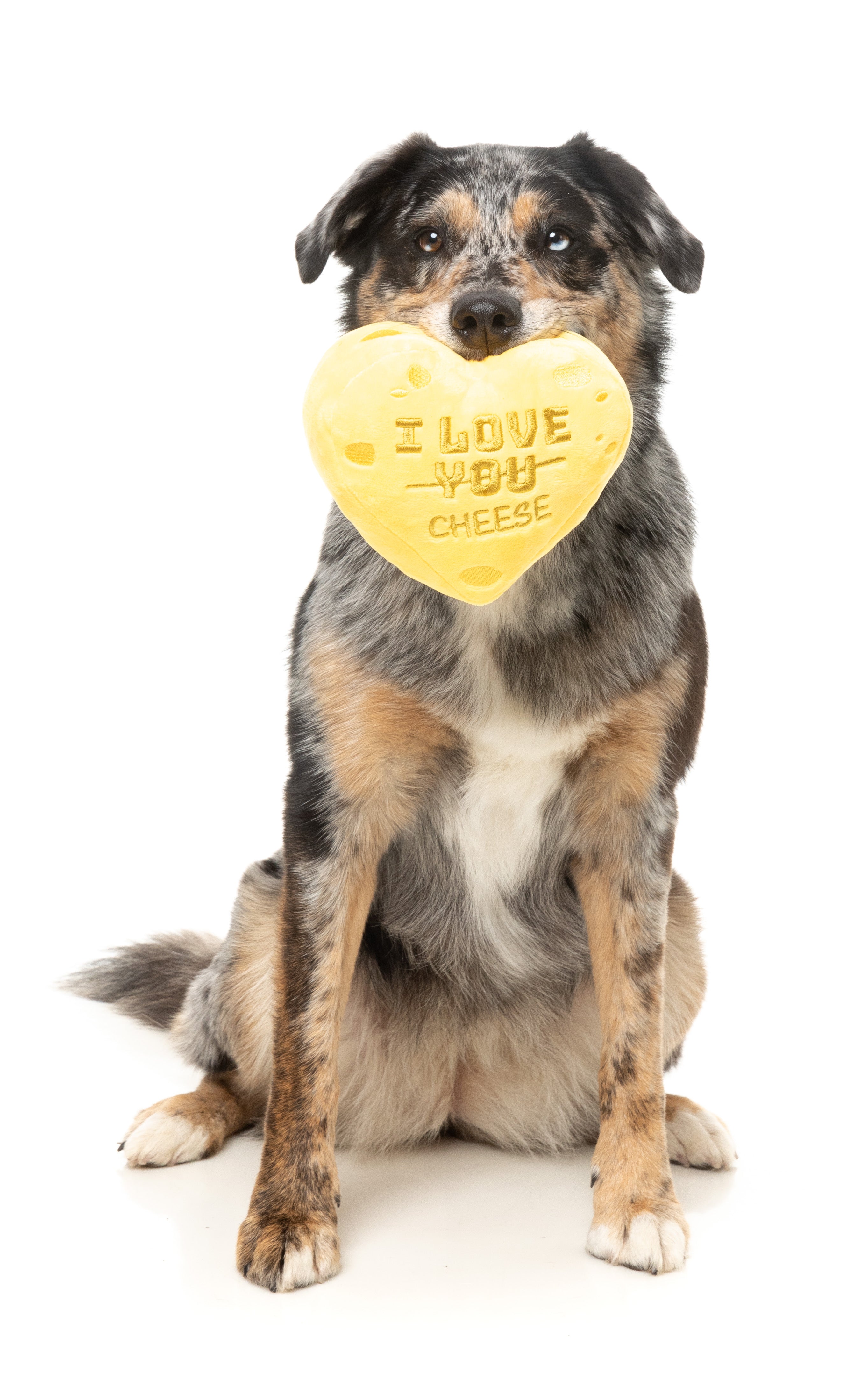 Fuzzyard Valentine's Day Plush Dog Toy - Cheese Heart Shaped Chew Toy for Small & Medium Dogs | Perfect for Playtime, Gifting & Puppy Training
