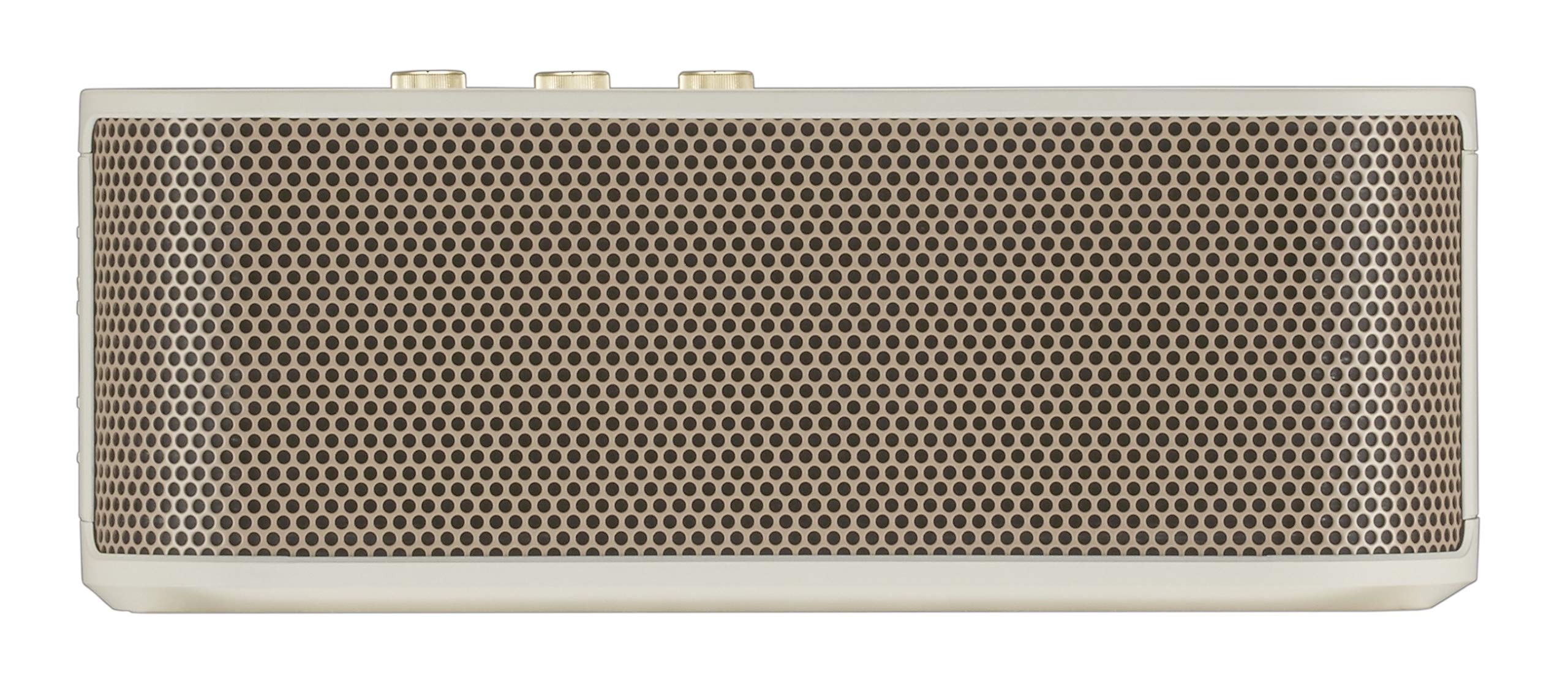 Roland BTM-1 Portable Bluetooth Speaker with Guitar Input - Perfect for Musicians, Outdoor Performances & Home Practice